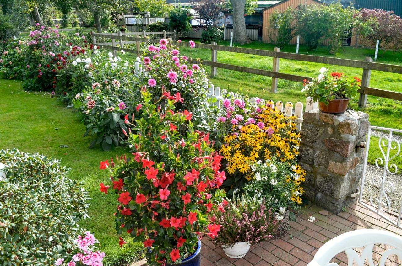 Hof Diederichs - Bed and Breakfast