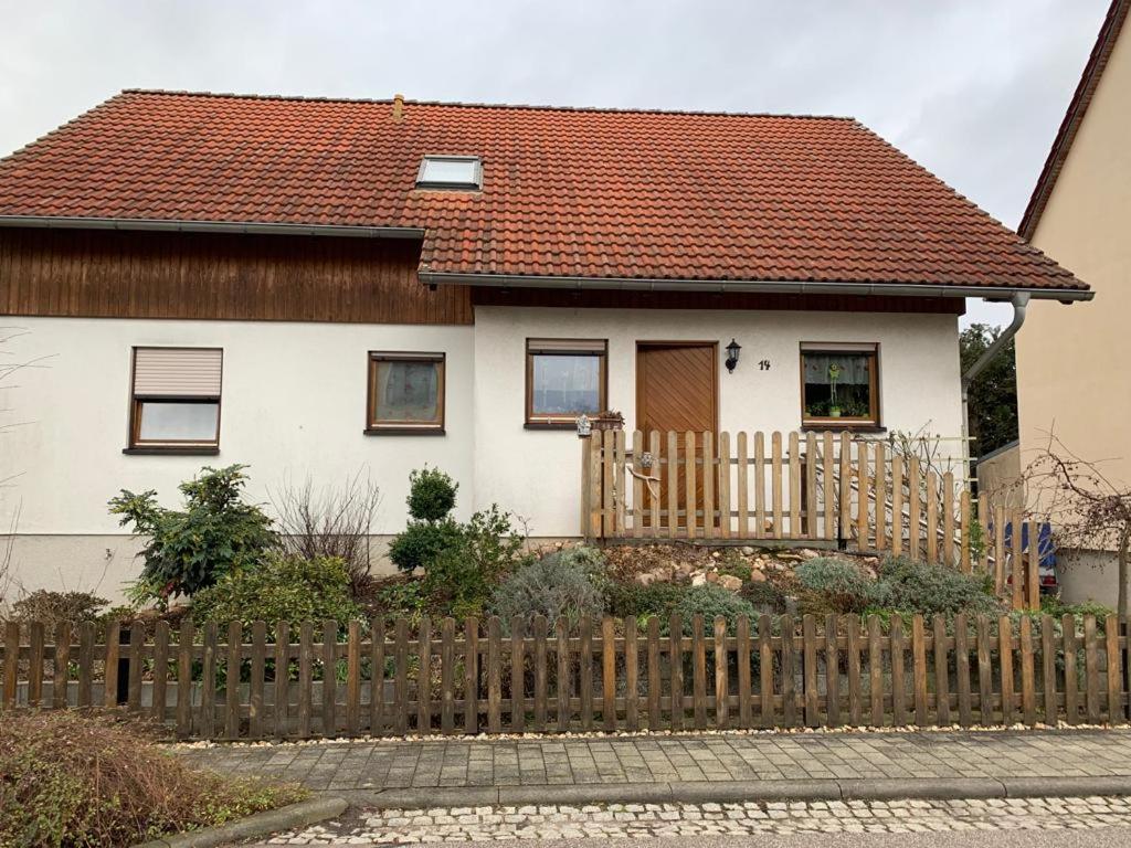 Ferienwohnung Am Froschteich - Ferienwohnung