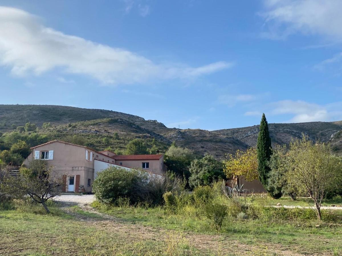 Cases des oliviers - B&B