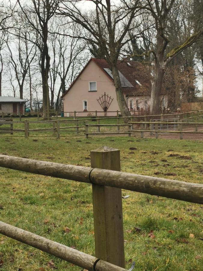 Ferienwohnung Am Stadtrand Garz Rügen - Chambres d’hôtes