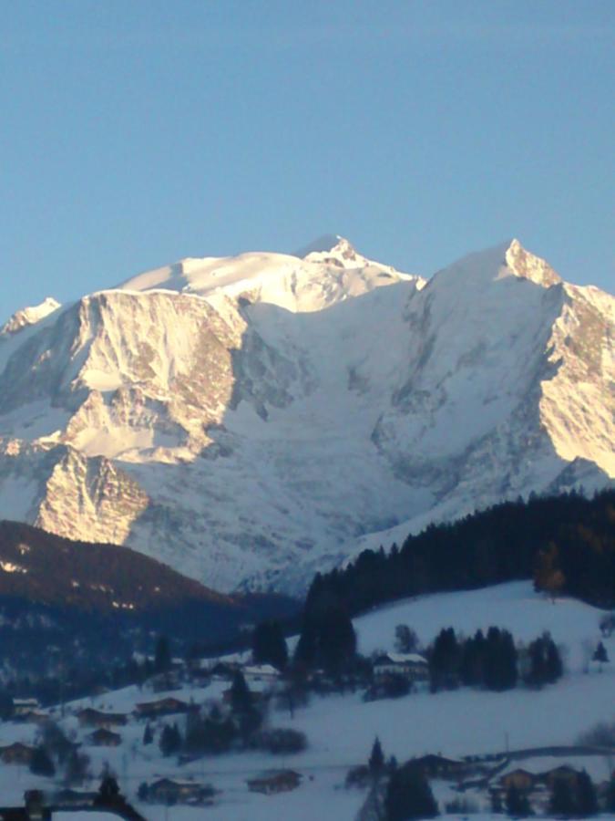 Appartement 1 Chambre