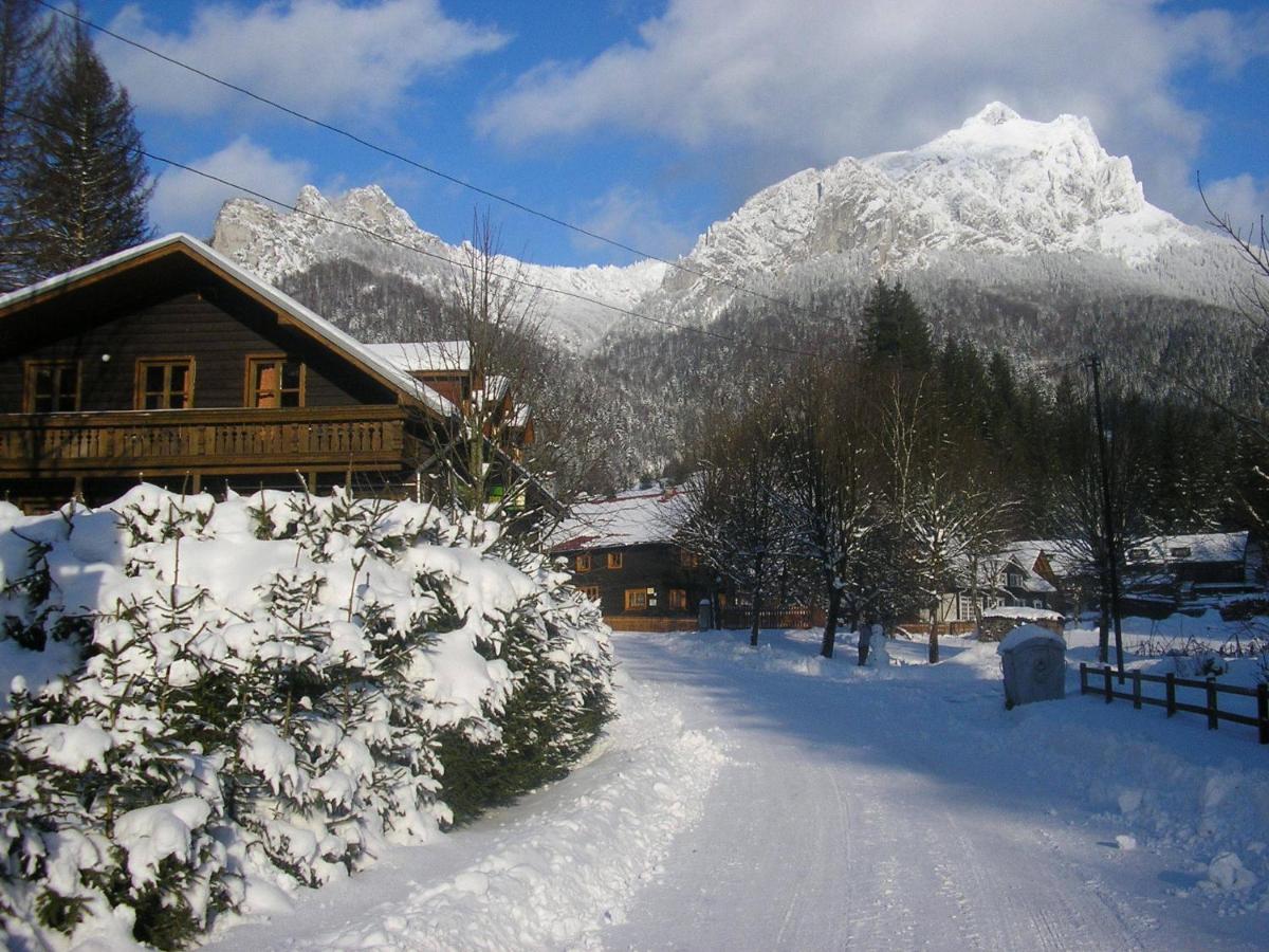 Penzion Stárek - B&B