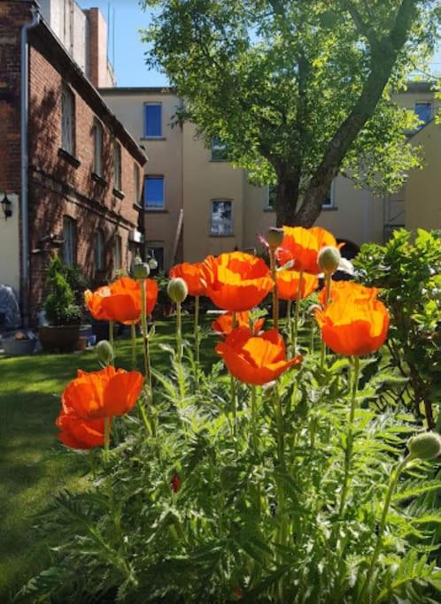 B&B Cottbus - City Appartement mit Garten, zentral und trotzdem ruhig - Bed and Breakfast Cottbus