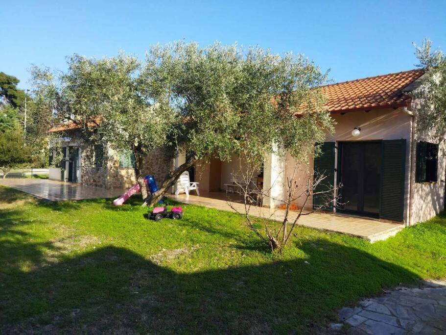 Detached House in Pefkochori with Garden - B&B