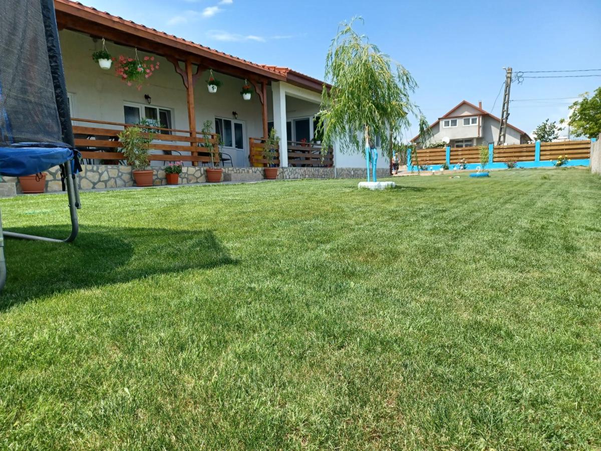 Pensiunea La Codru - B&B