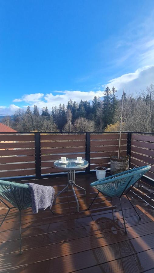Kameralny Apartament - B&B
