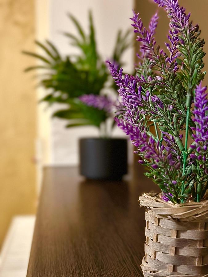 CASA Holiday Apartments & Parking ! - Ferienwohnung