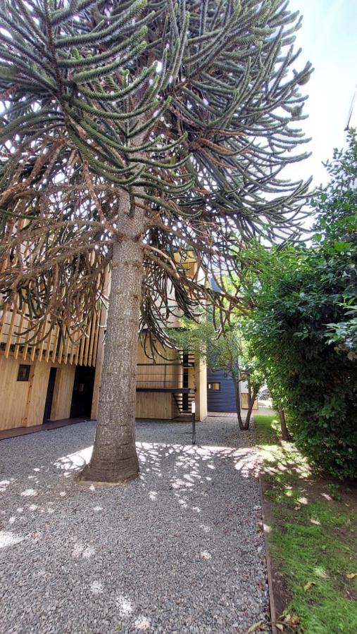 Hermoso departamento de 3 ambientes con amplio jardin. 1V5 - Chambres d'hôtes San Martín de los Andes