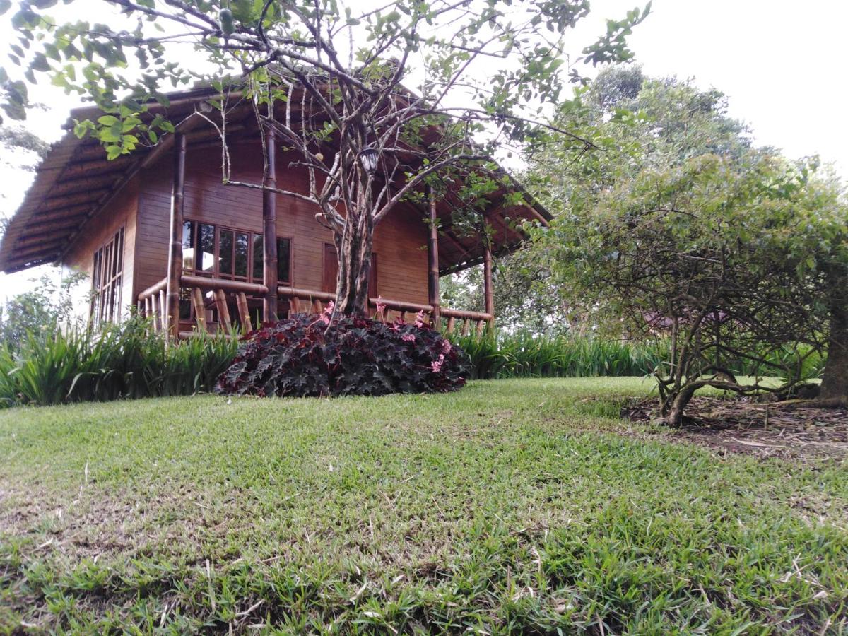 Estancia La Colina - B&B