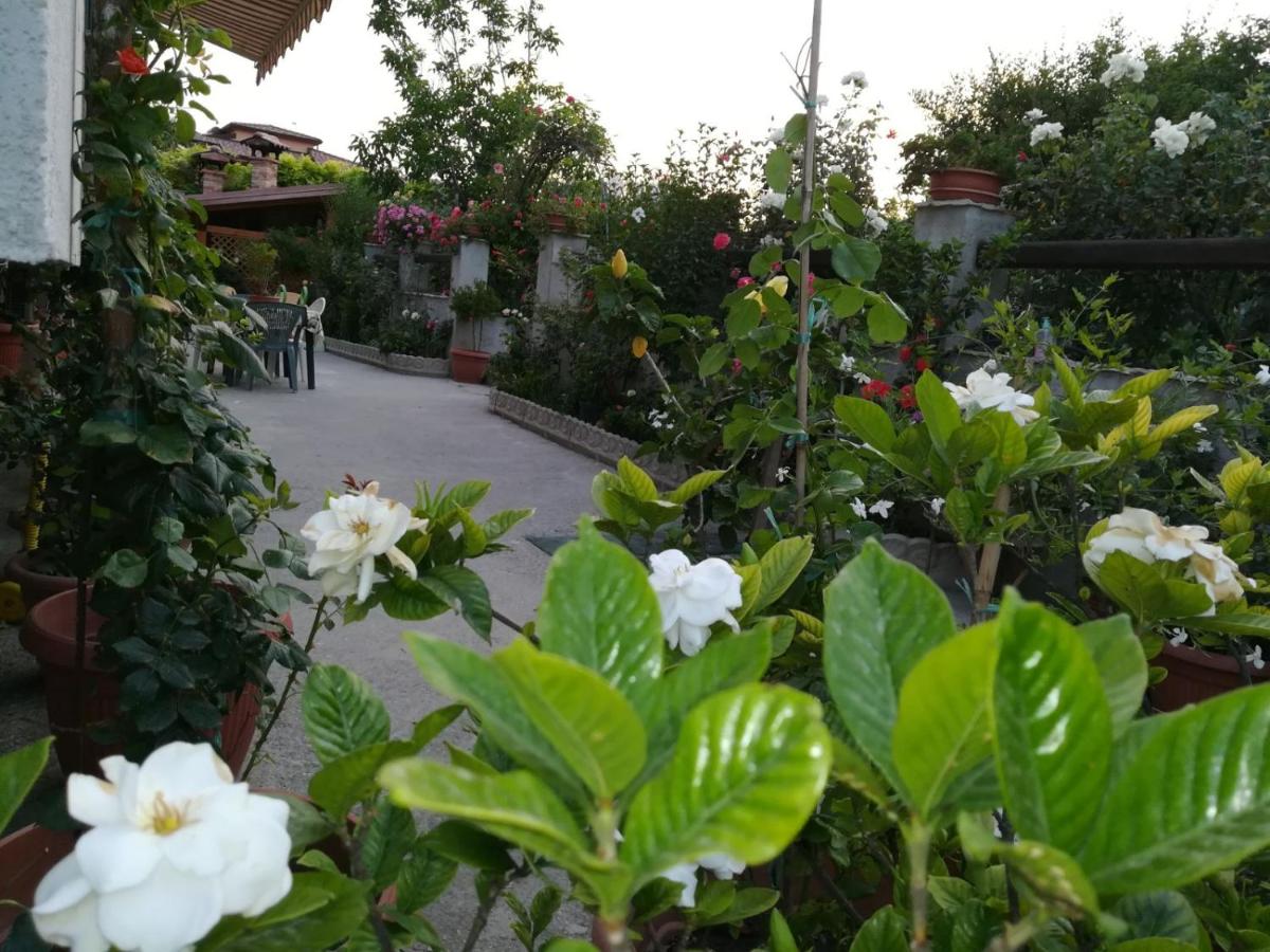 B&B Bova Marina - Villa delle rose - Bed and Breakfast Bova Marina