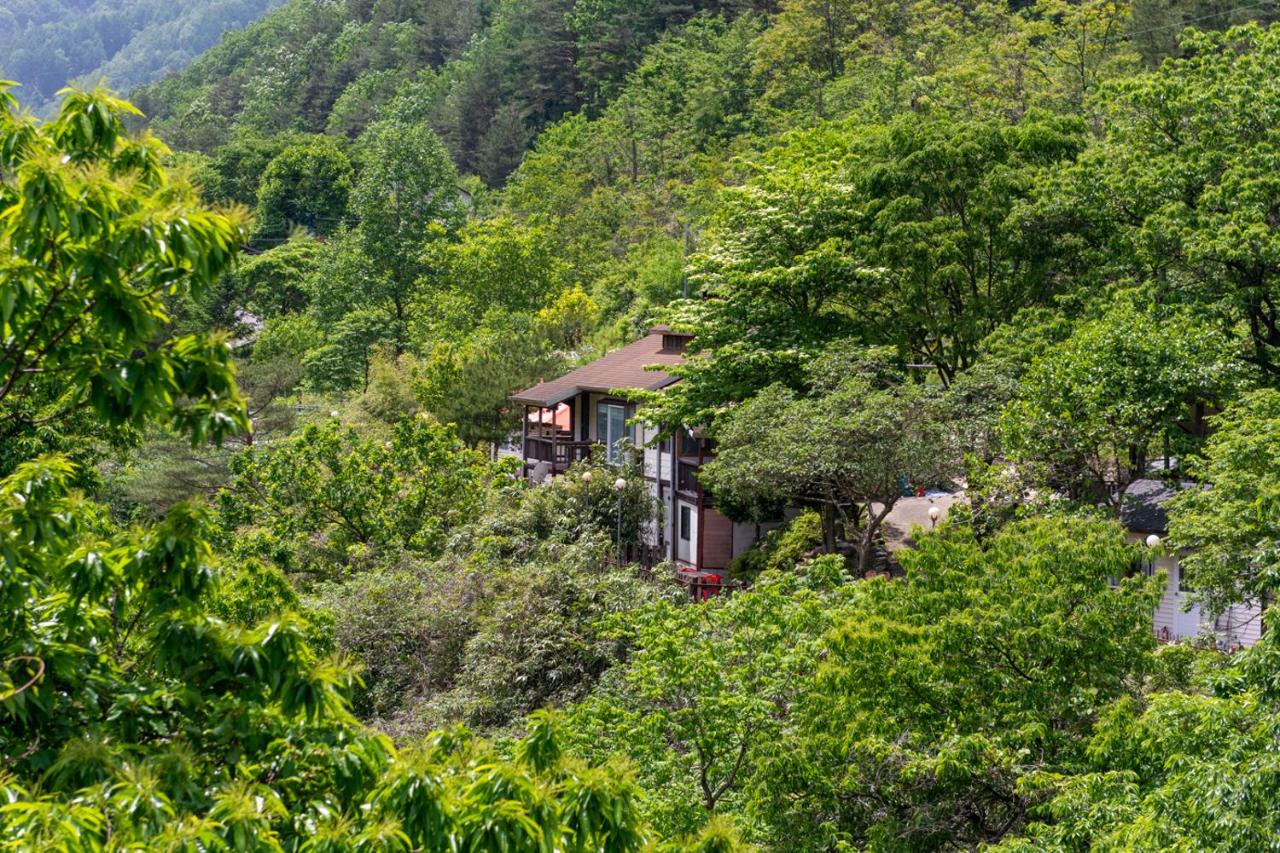 Dasanbang Pension - Ferienwohnung Yangyang