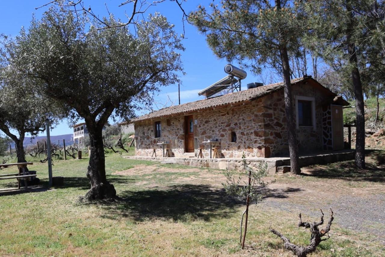 Holiday Accommodation, Serra da Estrela - Casa Cabeço do Barragão - B&B