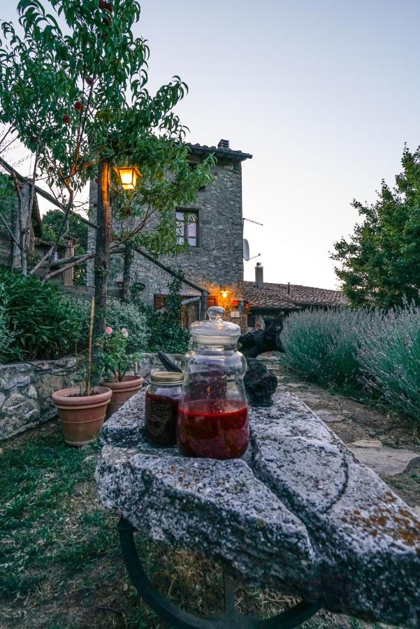 Agriturismo La Colombella - B&B Bagni San Filippo