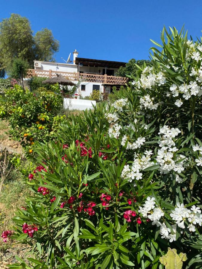 B&B Finca Alegria de la Vida - Ferienwohnung Pizarra