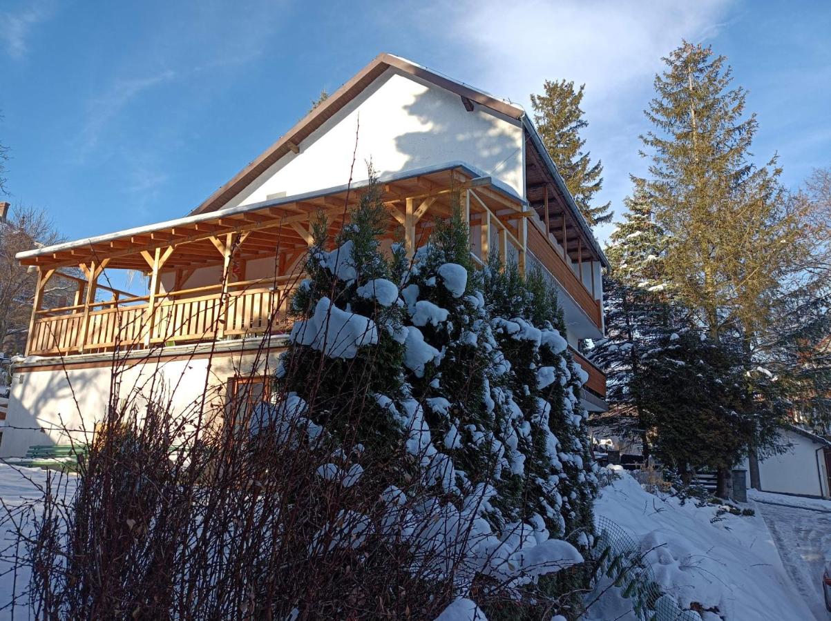 Willa Izerka - B&B