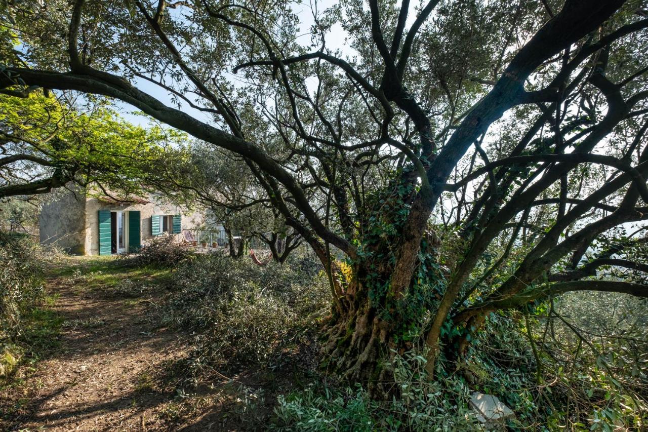 Ca Del Vajo Valpolicella House - Ferienwohnung