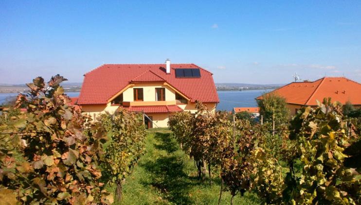 Ubytování Pálavská Riviéra - Ferienwohnung