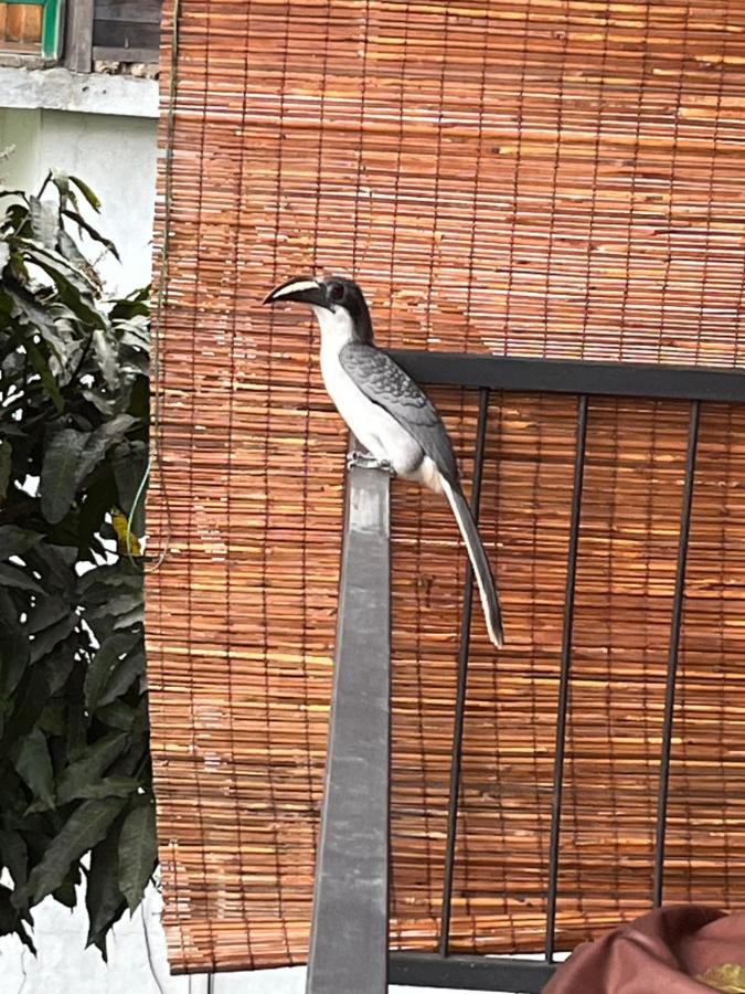 Standaard Tweepersoonskamer met Uitzicht op de Bergen