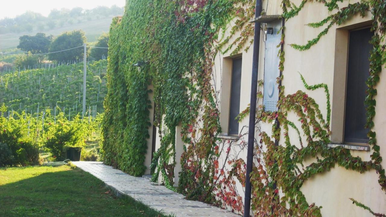 Appartamento con 1 Camera da Letto e Vista Giardino 