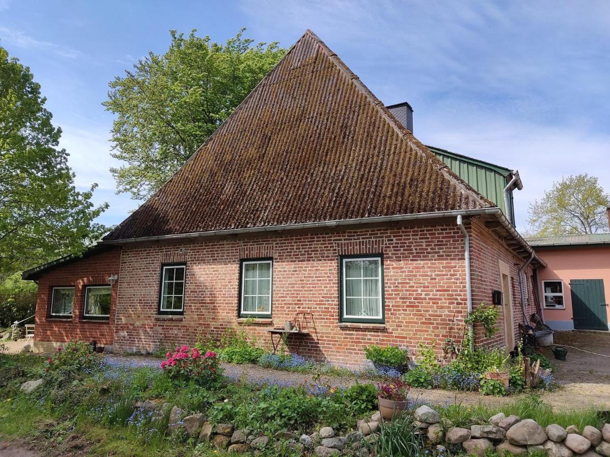 B&B Kasseedorf - Reiterhof - Welsh Cob Gestüt - Bed and Breakfast Kasseedorf