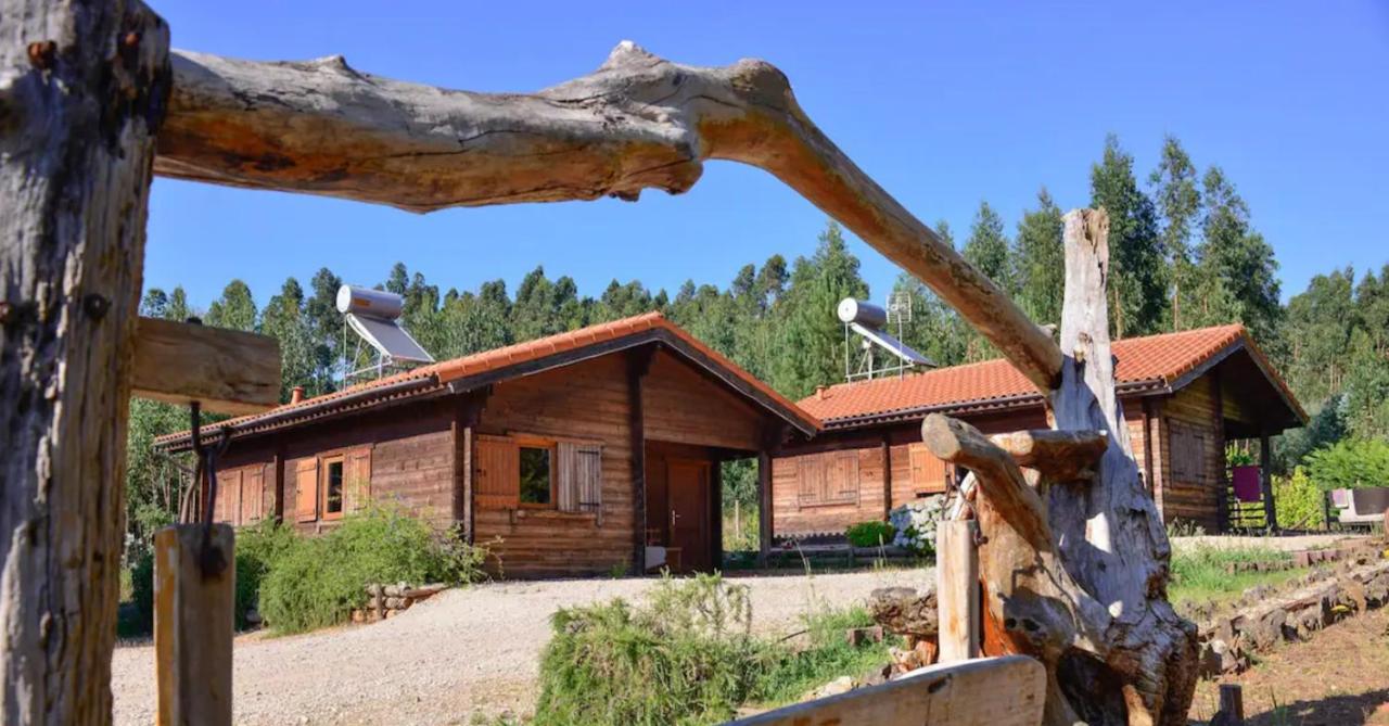 Cozy studio in Figueiró dos Vinhos 56 m² with shared pool - B&B