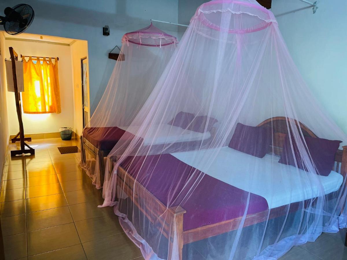 New Roy Guest House - Bed and Breakfast Kalkudah