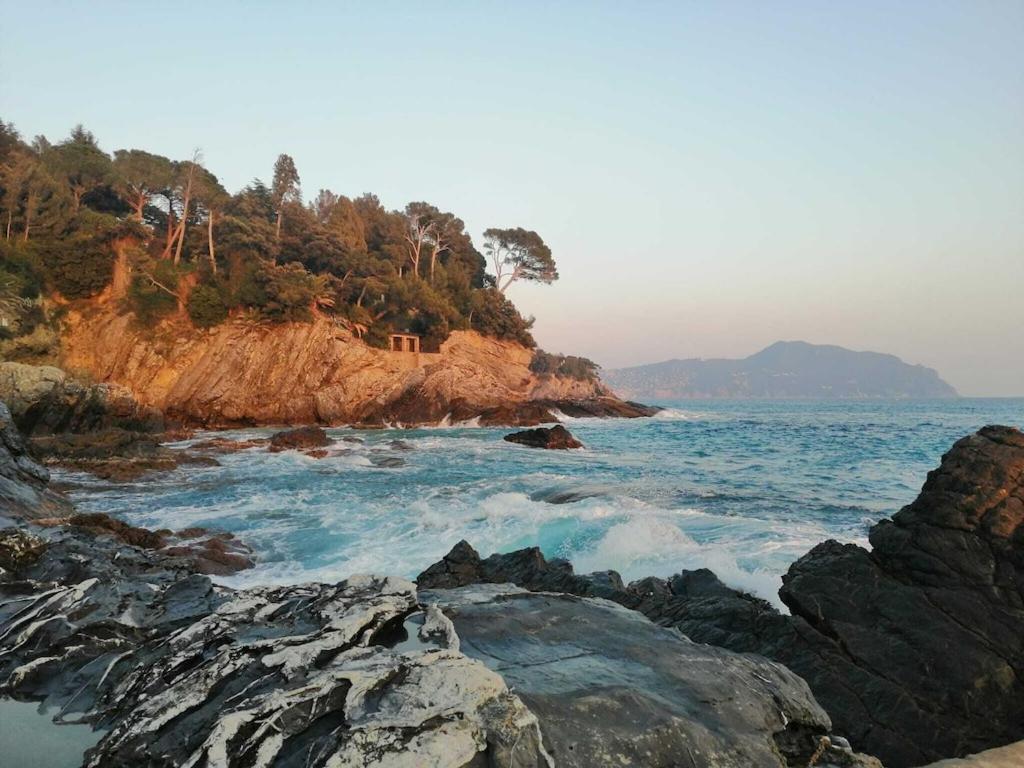 Bomboniera vista mare Bogliasco - B&B