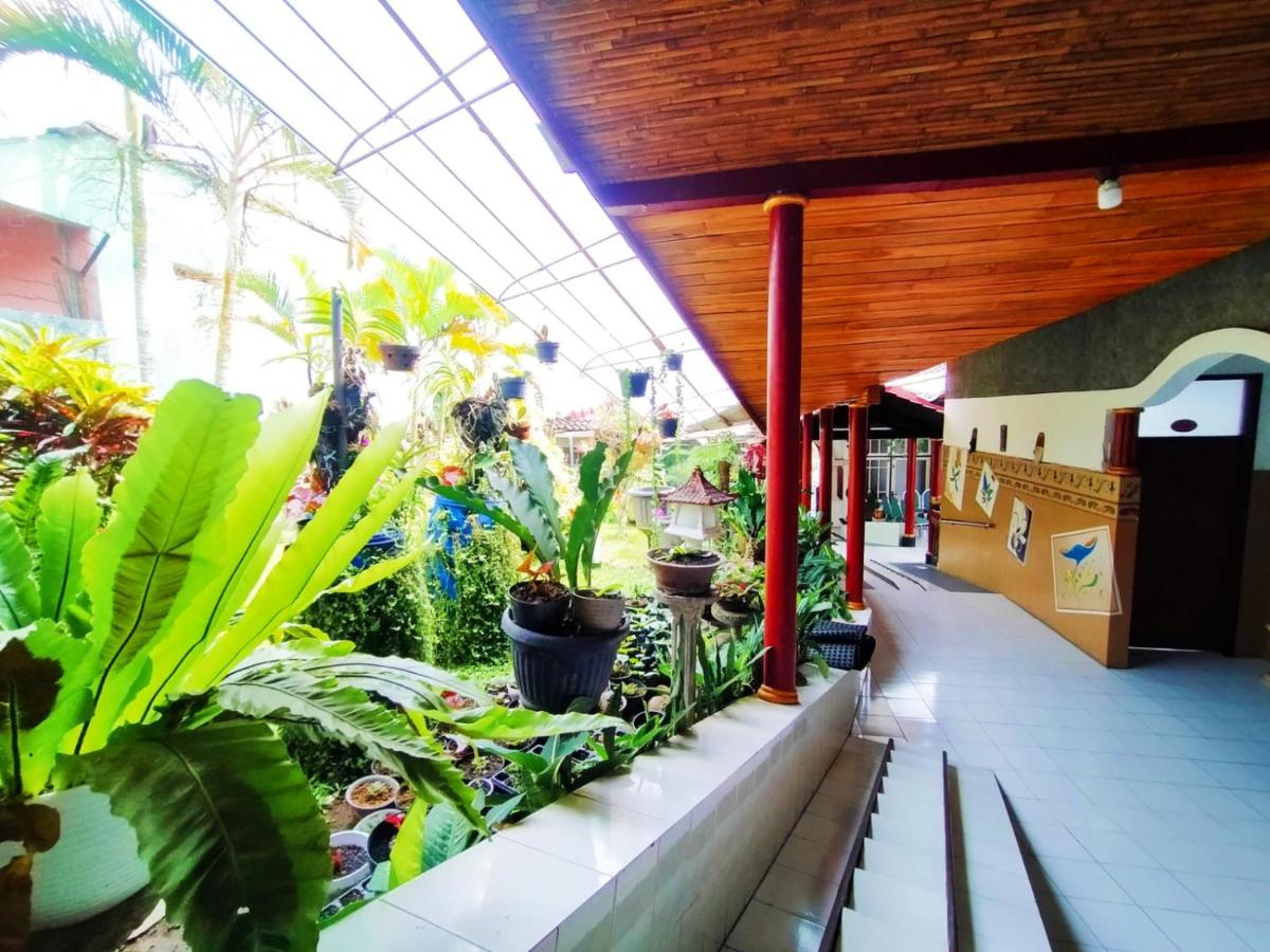 d'BACA Homestay - Bed and Breakfast