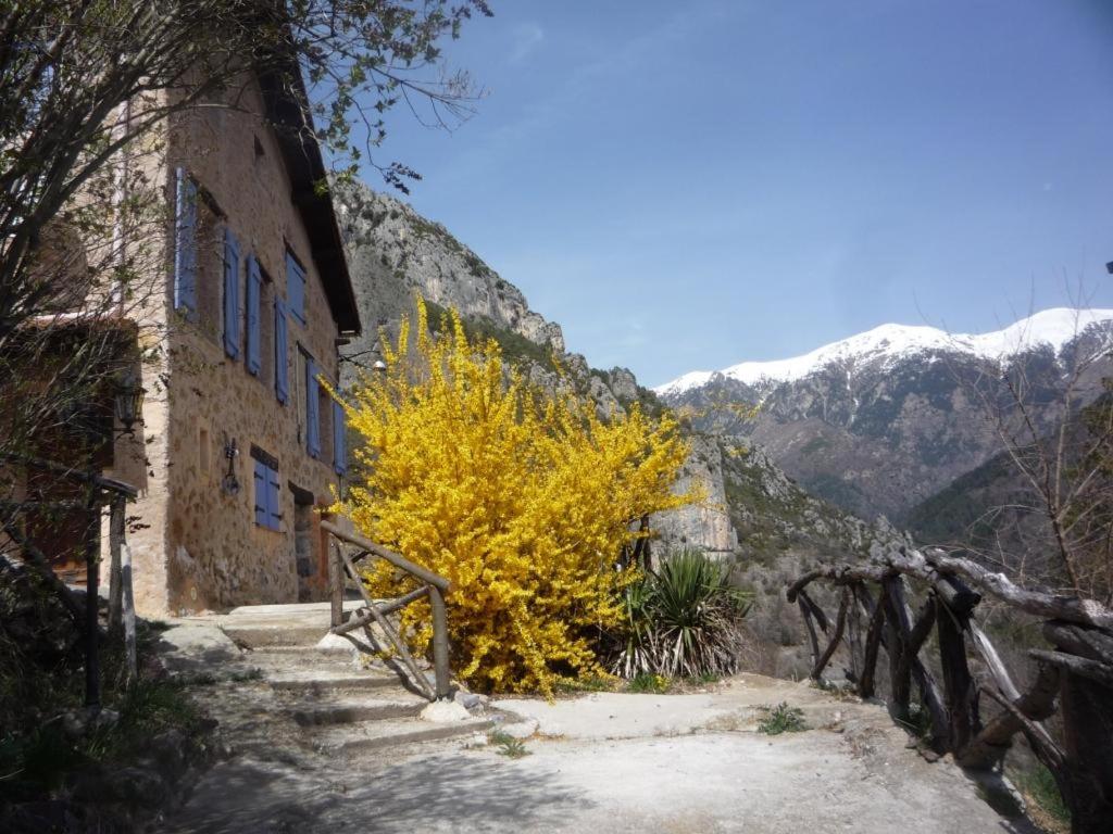 Grange La Capretta - Chambres d’hôtes Roquebillière