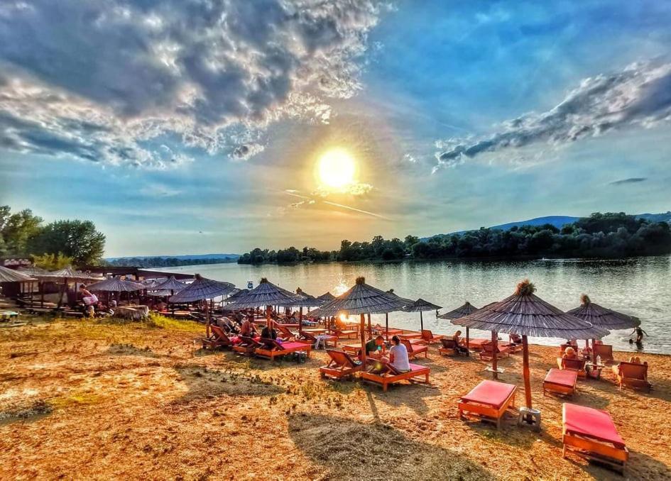 Apartman Todor - B&B Veliko Gradište