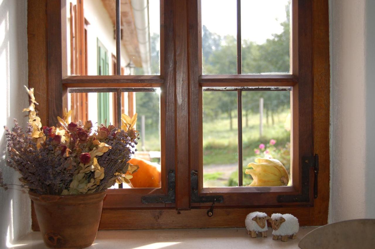 Casa con 1 dormitorio