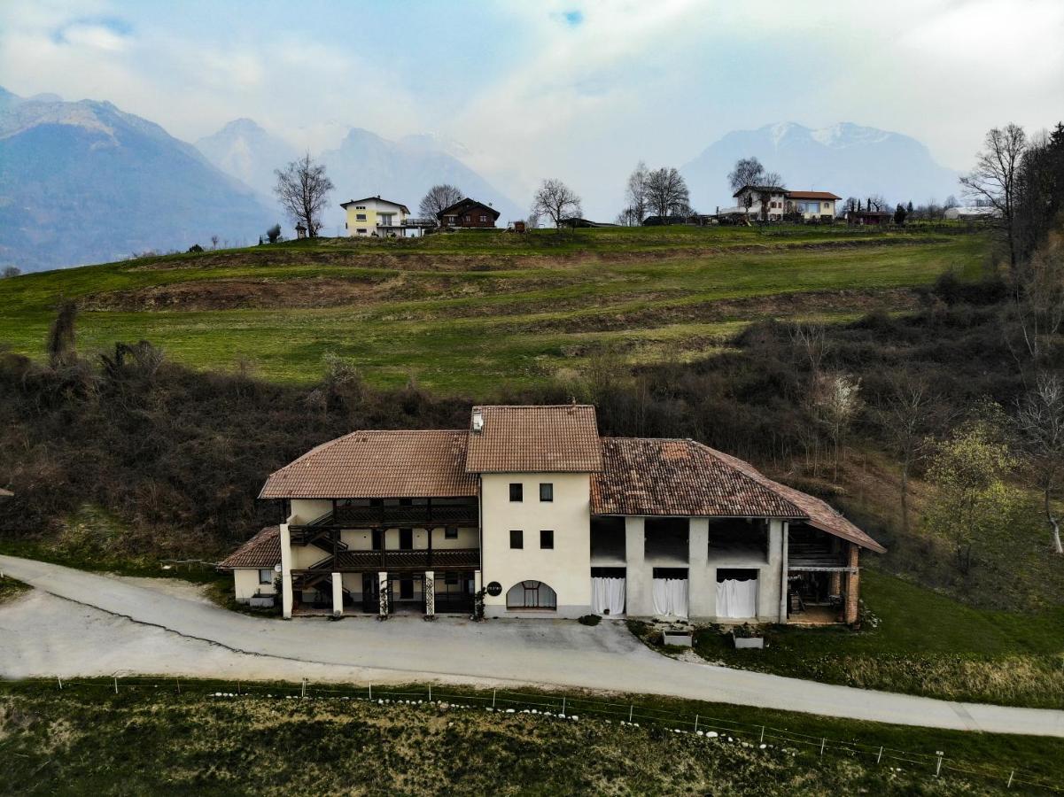 Stella Alpina Nature Retreat - B&B Sòis