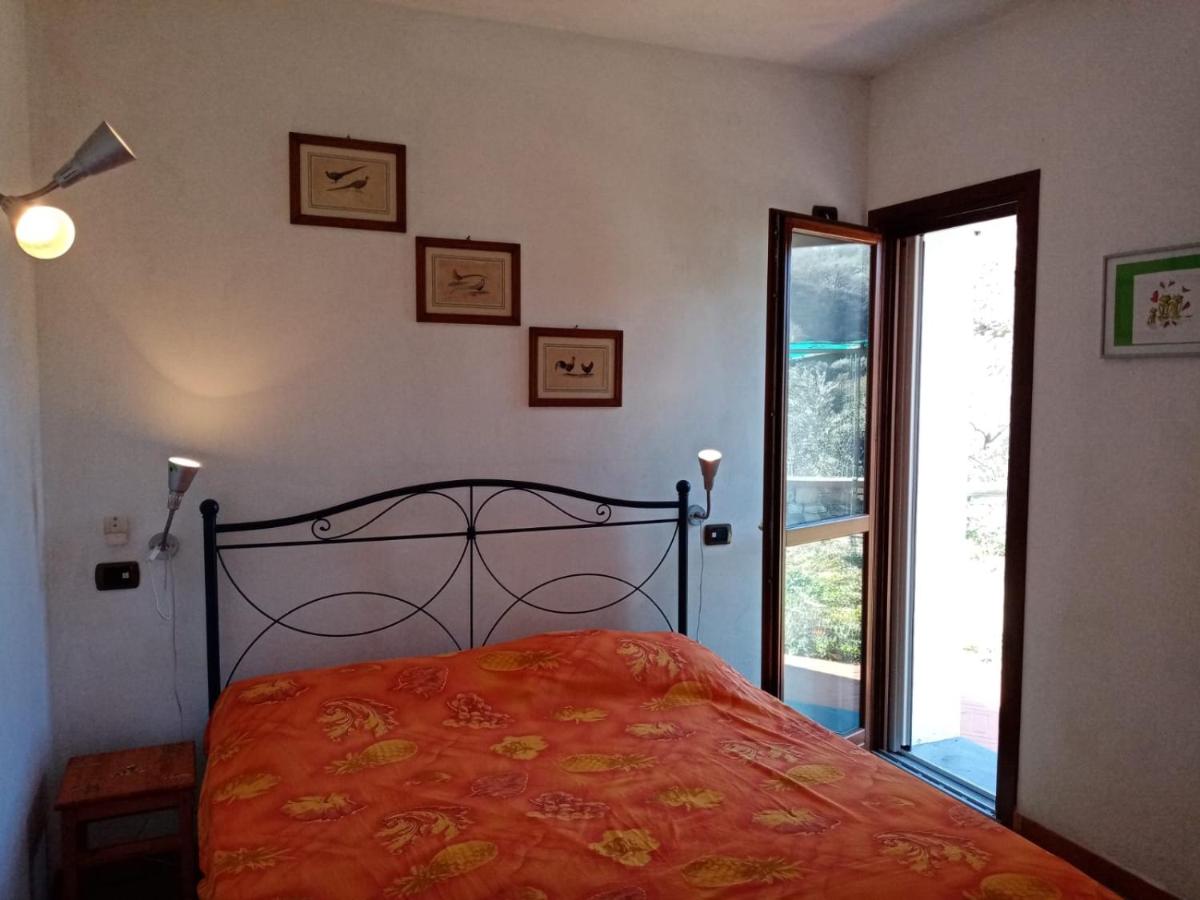 Apartment with Garden View