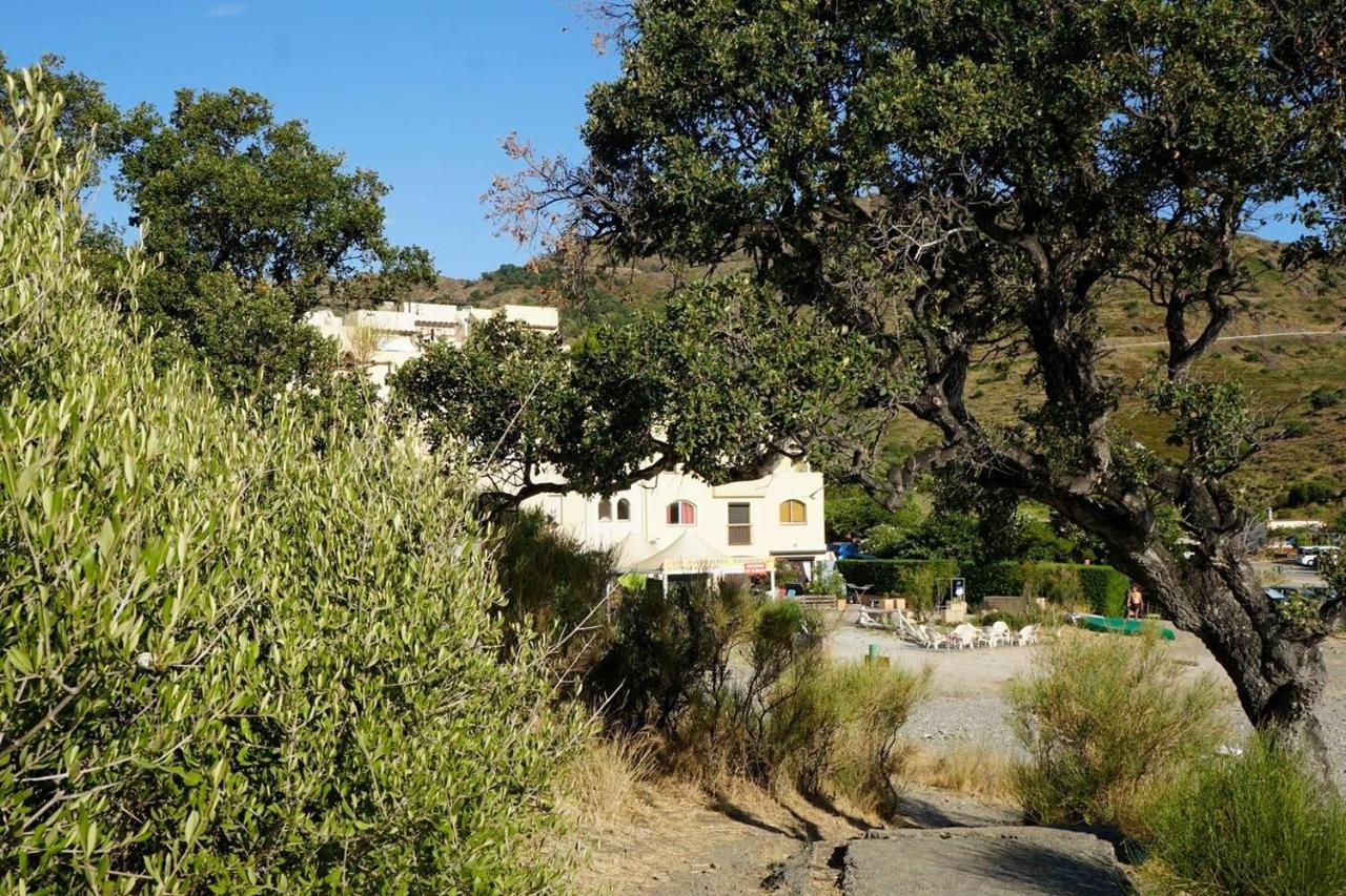 Lovely 1-Bed Apartment literally on the beach - Chambres d’hôtes Cerbère