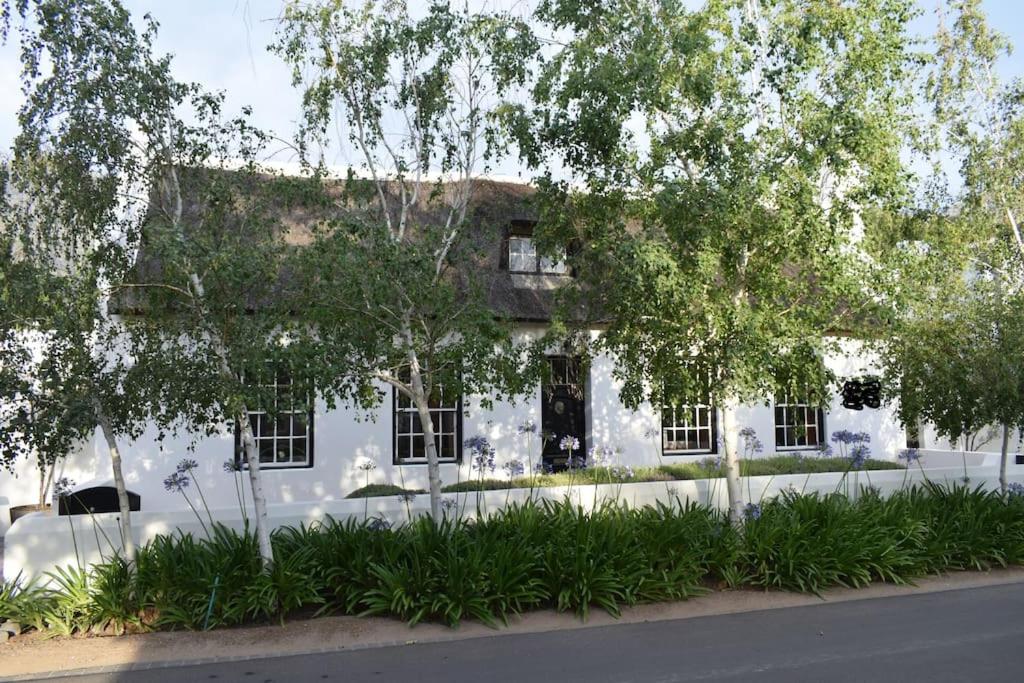 B&B Franschhoek - Petite France:luxury thatched 4BRcottage with pool - Bed and Breakfast Franschhoek