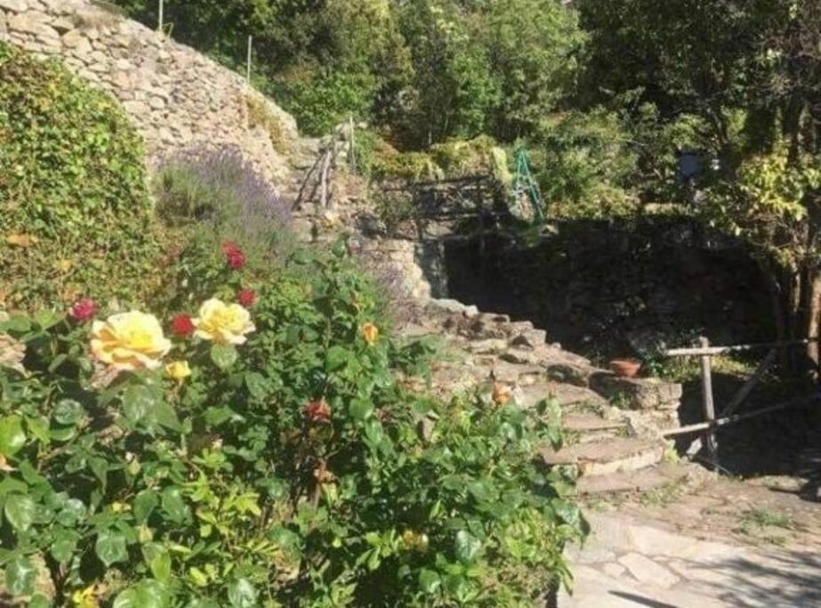 Maison Lama - B&B Lama