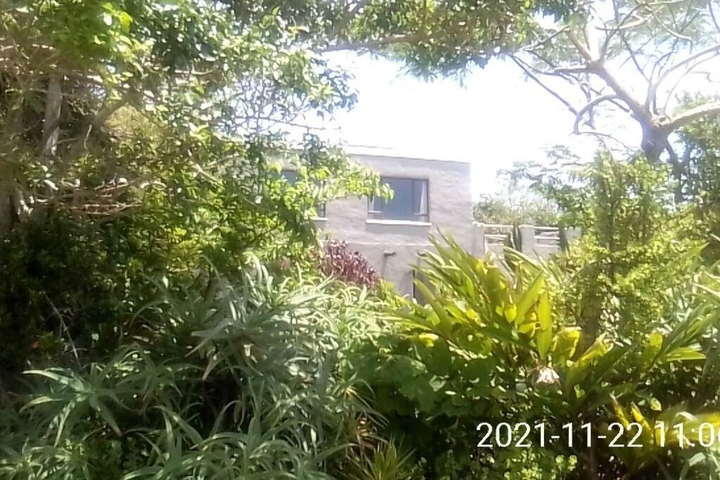 Sea view, self-catering, vacation apartment. - B&B