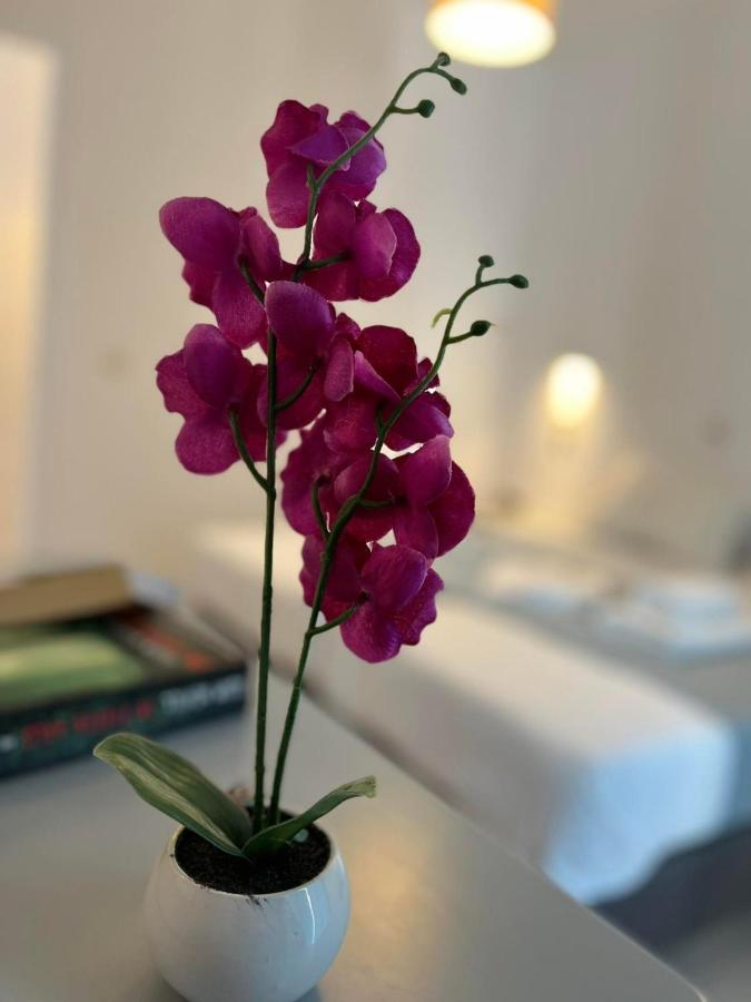 Camera Doppia con Letti Singoli