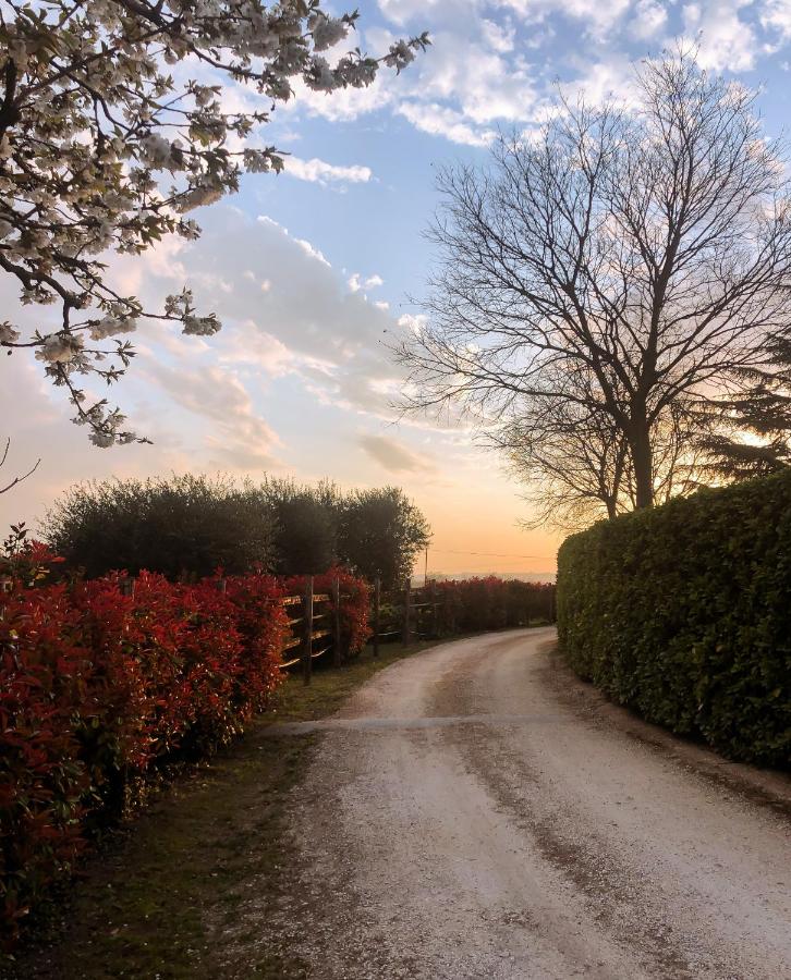 B&B Cascina Mattarelle - Bed and Breakfast
