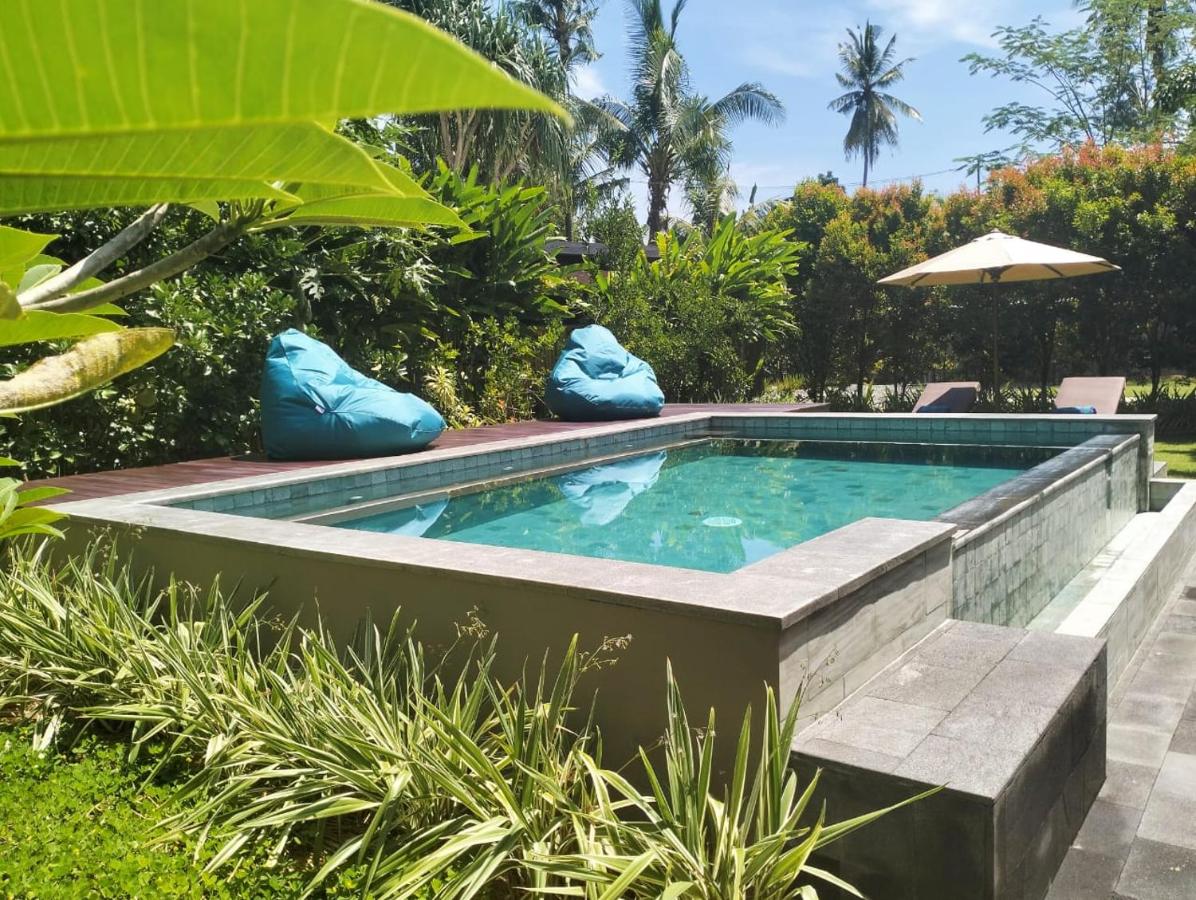 Villa Jeruk - B&B Selongbelanak