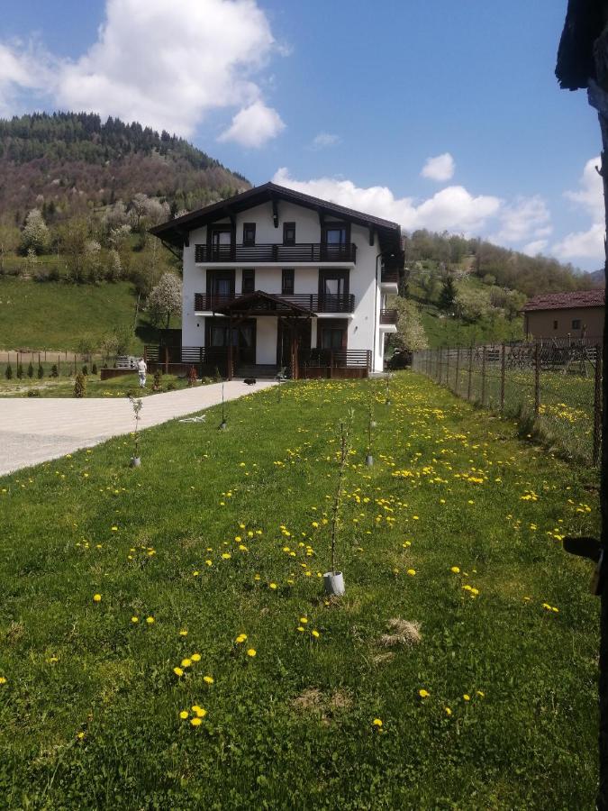 Pensiunea ACASA LA VLADUȚ - B&B