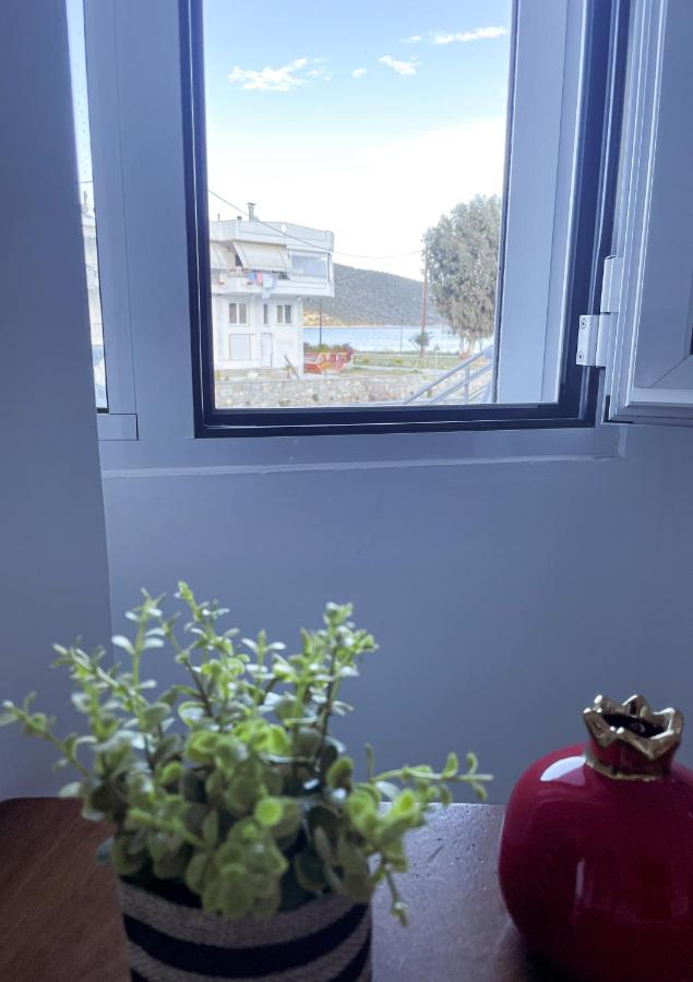 Coastline Apartment - Chambres d’hôtes Néa Péramos