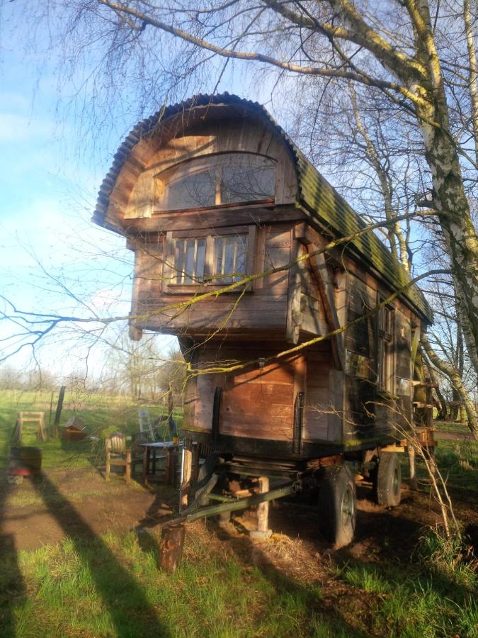 Mobile Home