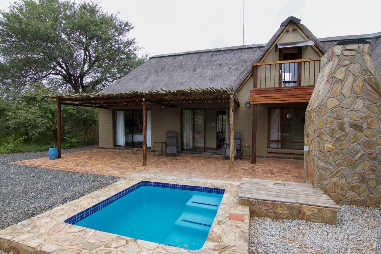 B&B Hoedspruit - Ingwe Bush Lodge - Bed and Breakfast Hoedspruit