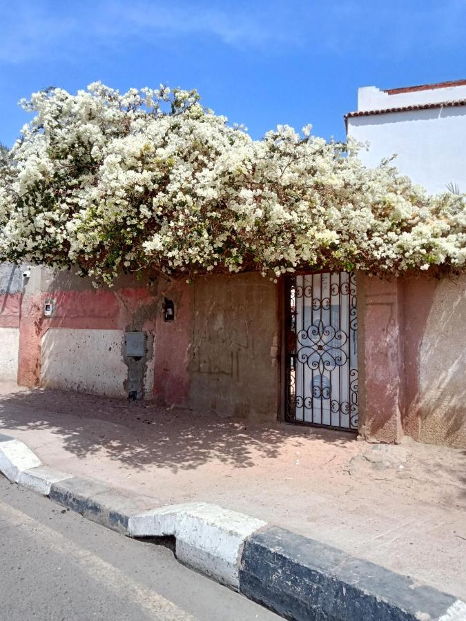 House in dahab - B&B