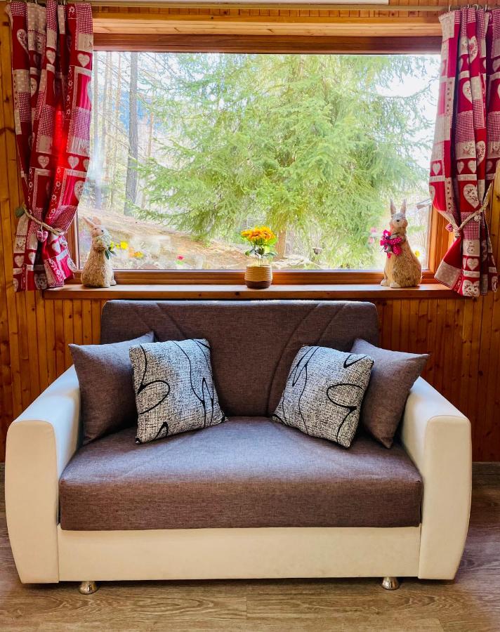 La casa dello scoiattolo CIR COMUNALE N 20 - B&B Gressan