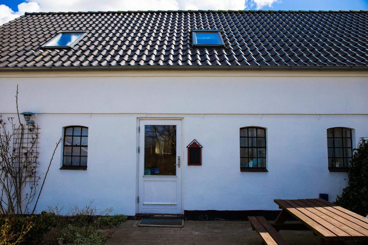 Stutteri Skandihest Apartments - B&B