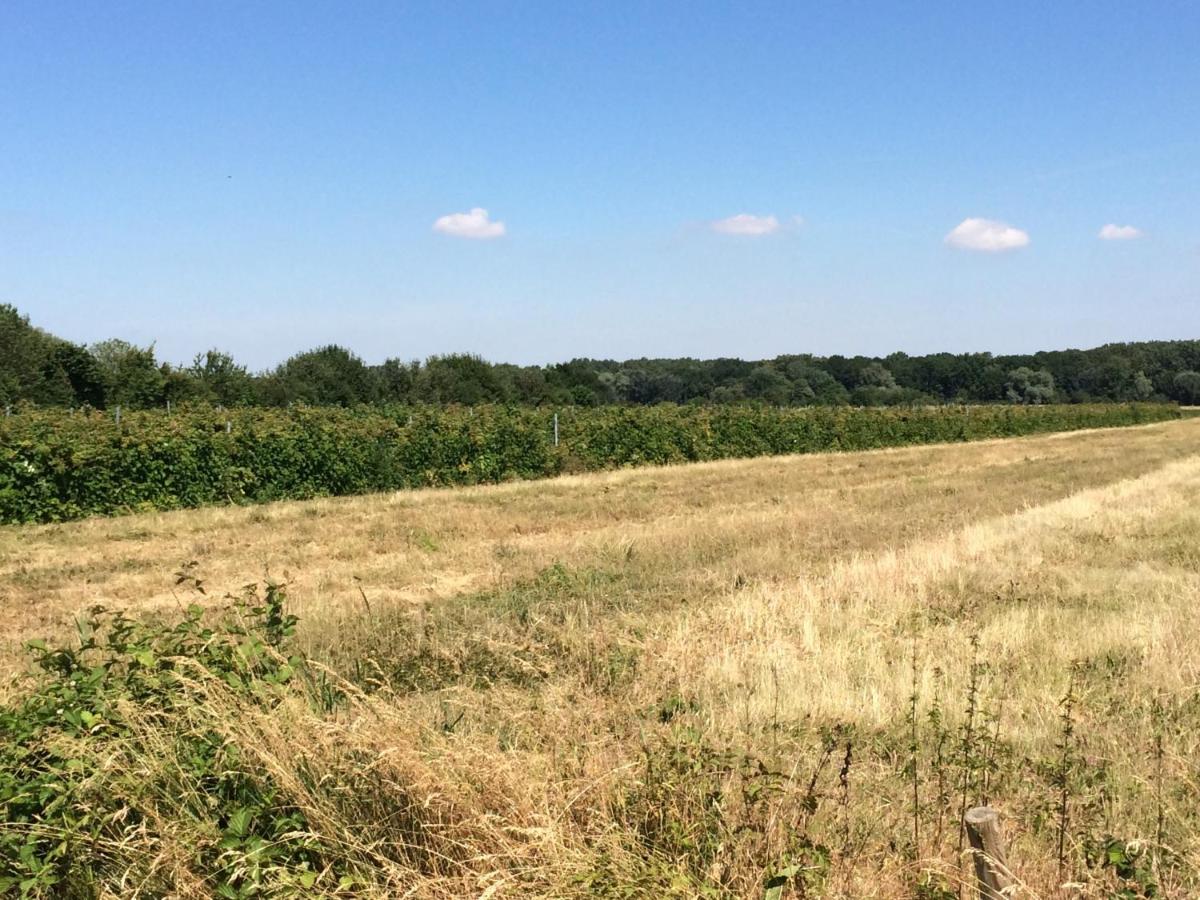 Johanneshof Gästehaus - B&B Hockenheim