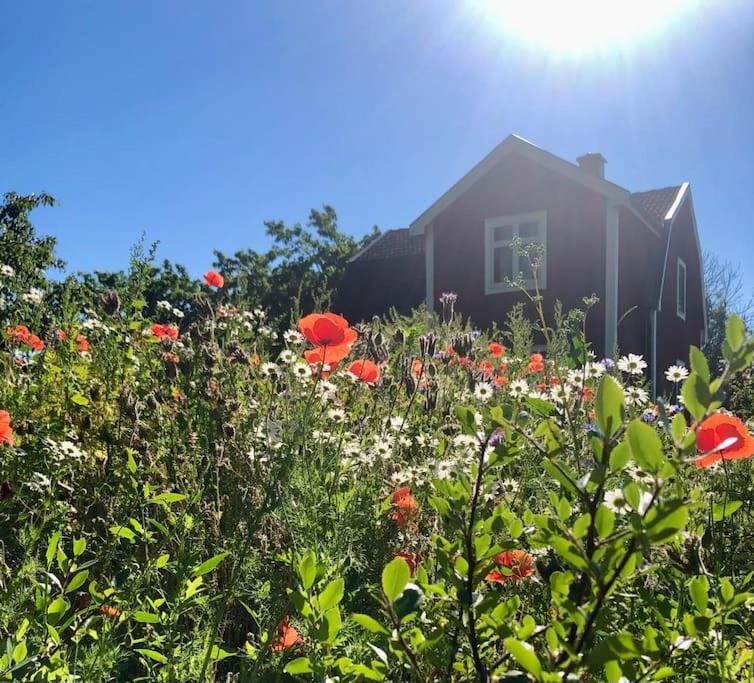 B&B Borghamn - original Schwedenhaus - Bed and Breakfast Borghamn