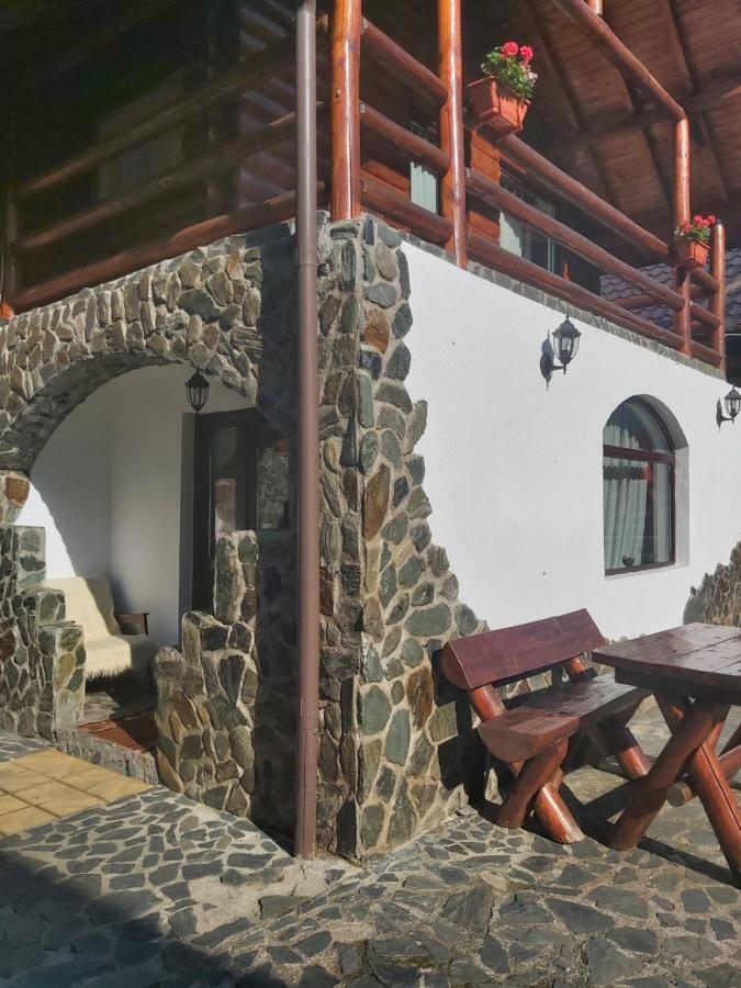 Vila Pietricica Craiului - B&B Sătic